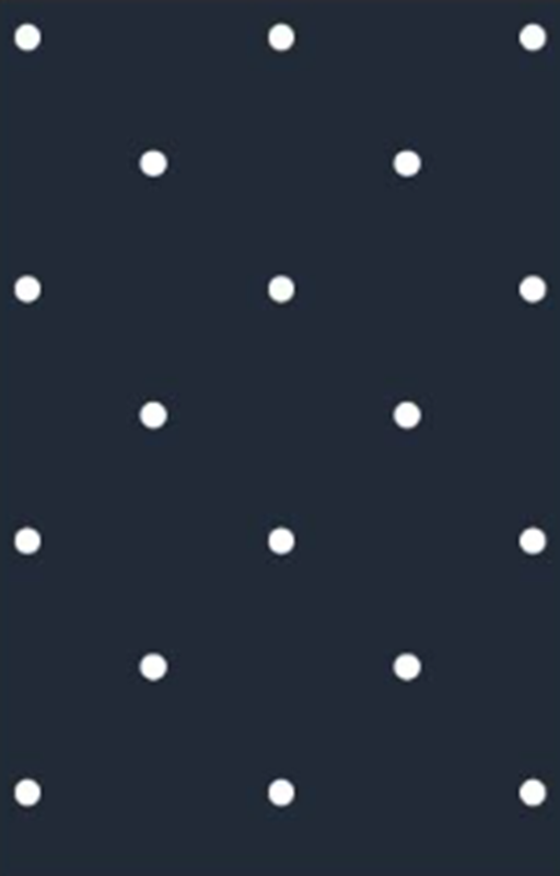 Bild von 100% BW Damen T-Shirt